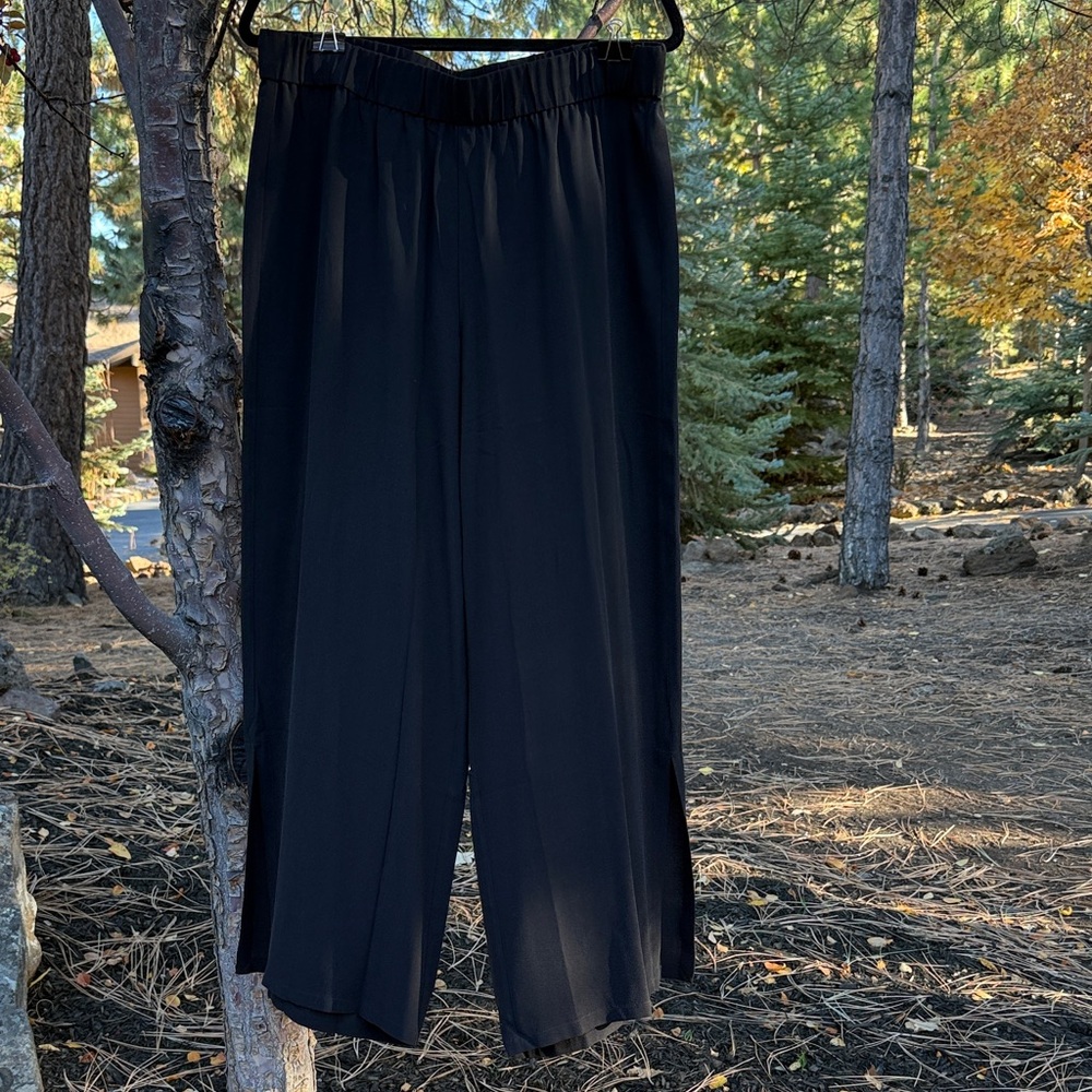 Eileen Fisher Silk Georgette Pants - L